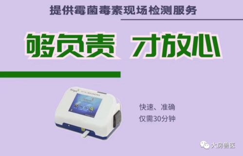 家禽養(yǎng)殖雙刃劍 免疫抑制與霉菌毒素的綜合防控策略